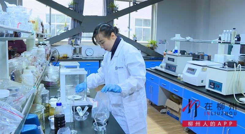 85后柳州妹周铭：创新创业 把科技成果写在祖国的大地上