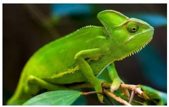 “万物的仲裁者”，今天你用的什么“尺”？