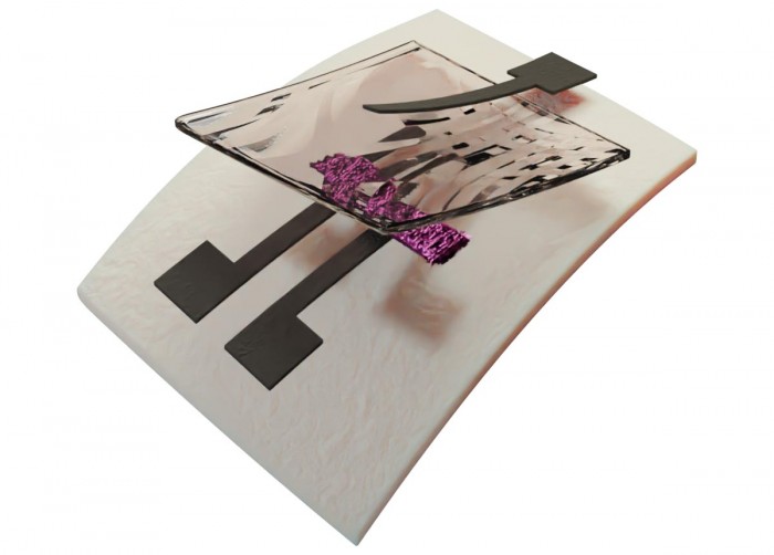 杜克大学开发出世界上第一个完全可回收的印刷电子产品