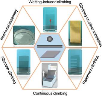 王建锋教授在《Advanced Materials》发表界面组装/自驱动转移石墨烯透明薄膜的工作