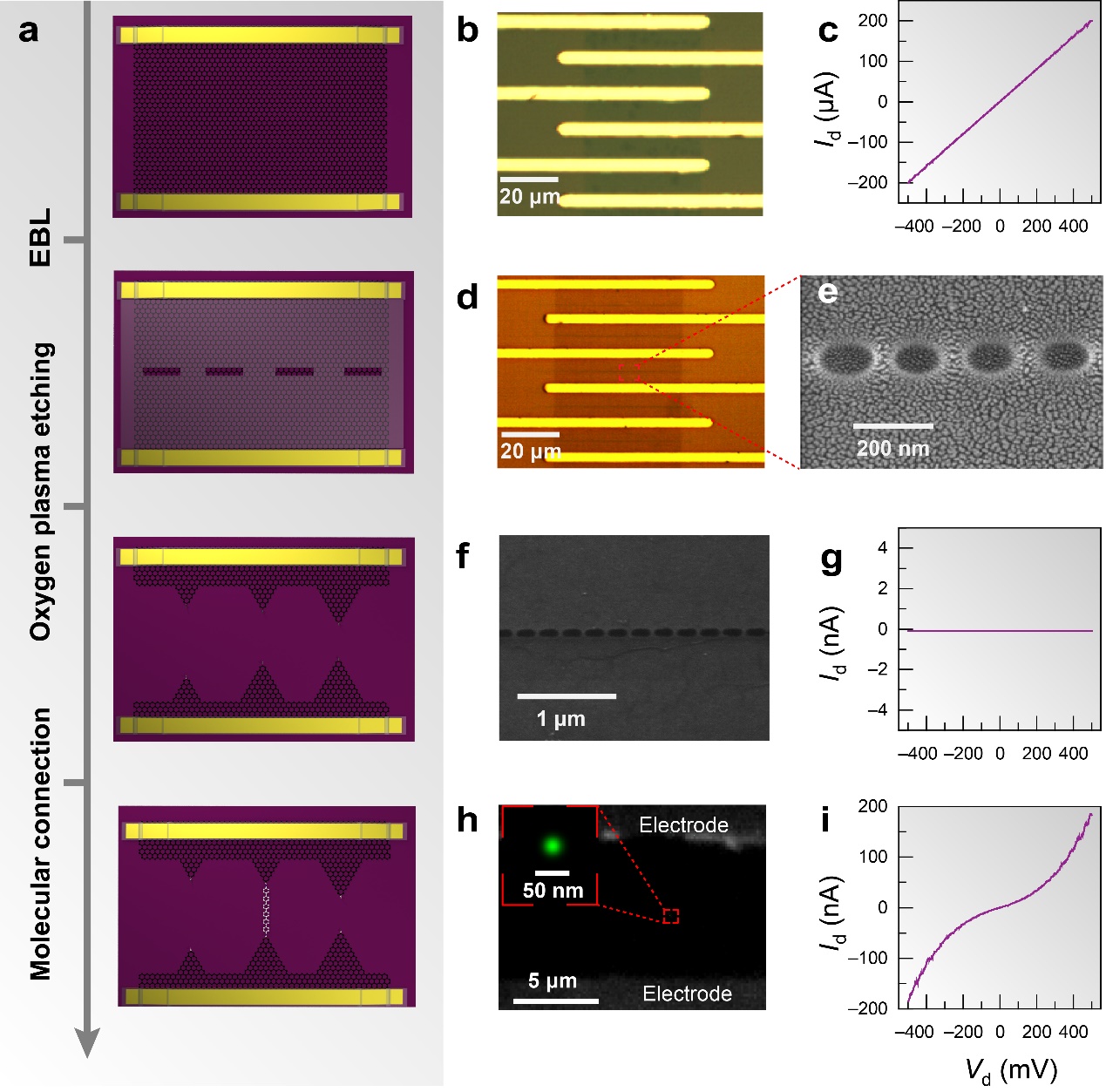 郭雪峰课题组报道单分子芯片制备实验流程