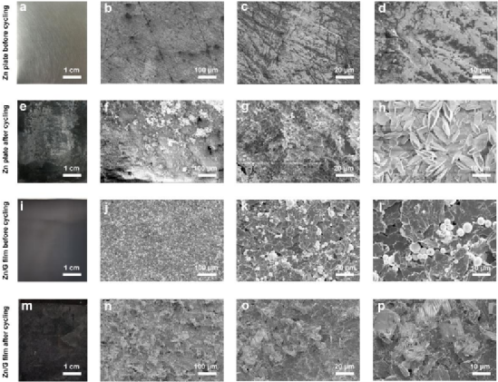 湖大/农大/剑桥李焕新、罗炳程教授等人AFM: 非贵金属催化剂和锌/石墨烯薄膜用于苛刻电解质中的低成本和超长耐久性固态锌空电池