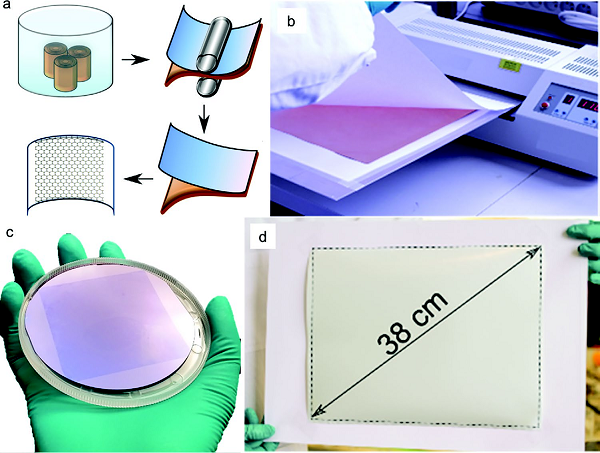 济南大学逄金波-刘宏Adv. Mater. Technol.：晶圆级石墨烯的化学气相沉积法合成及其电子器件应用