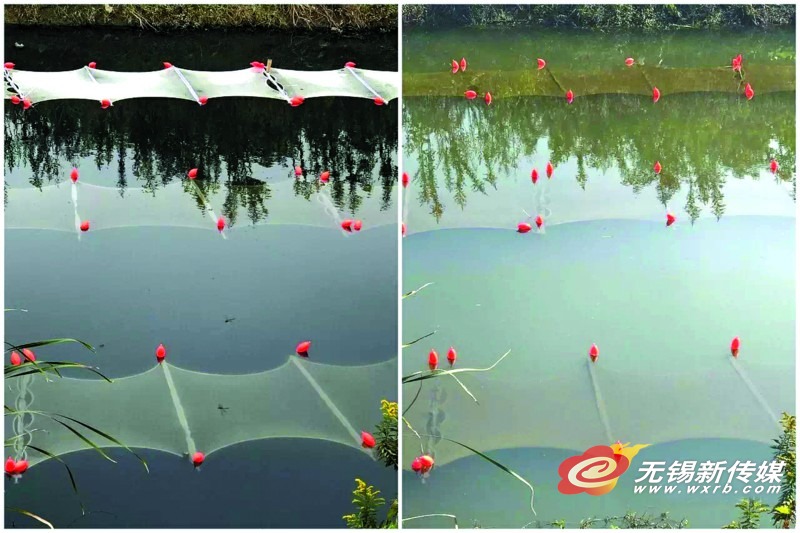 江阴企业研发出石墨烯光催化网 只要有可见光，它就可以分解水中的有毒物质，让水体恢复自净能力