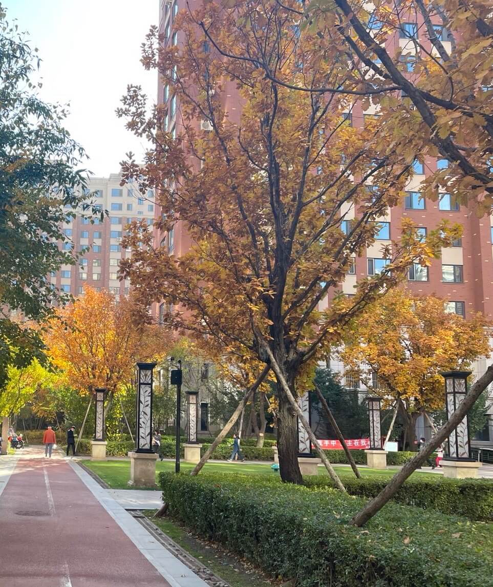 基础条件好 上升潜能大 超低能耗建筑或可成为龙江经济新引擎