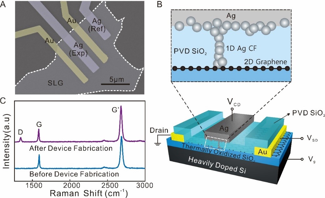Small: 利用石墨烯原位监测银/氧化硅结构中的电阻开关过程
