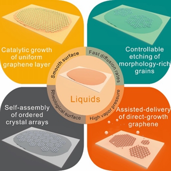 濯清涟而不妖（静谧液面上的“出水青莲”）