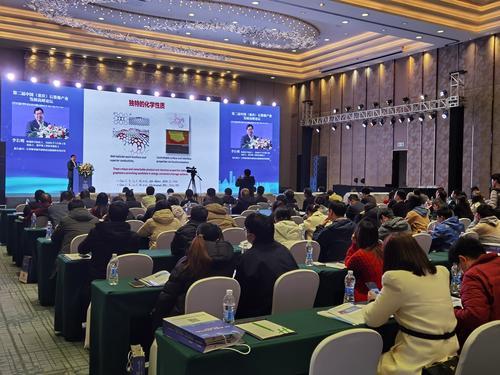 院士专家共话碳基材料与柔性电子应用前景与产业化道路—— 产学研合作共同打造“重庆碳谷”