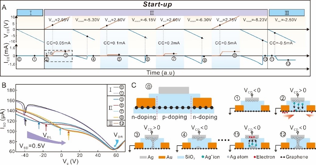 Small: 利用石墨烯原位监测银/氧化硅结构中的电阻开关过程