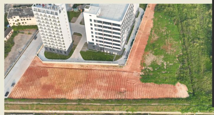 厚德村南阁老虎围石墨烯厂房旁农田