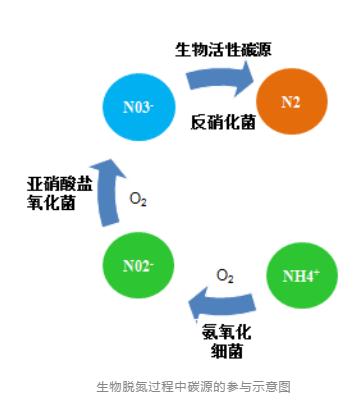 水处理离不开碳 真的吗？