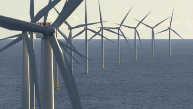 长效防护25年！海虹老人助力全球首个海上风电场圆满退役