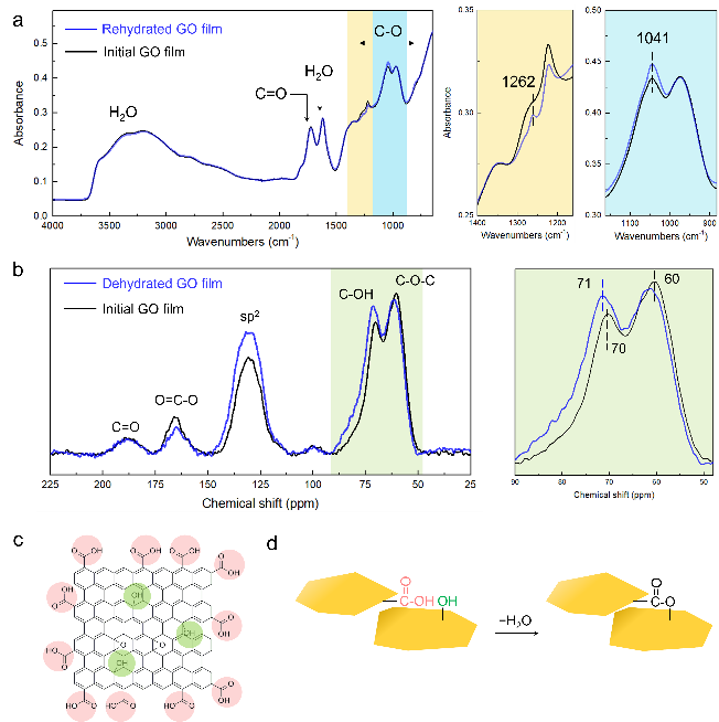 西湖大学揭示氧化石墨烯片层脱水自交联现象