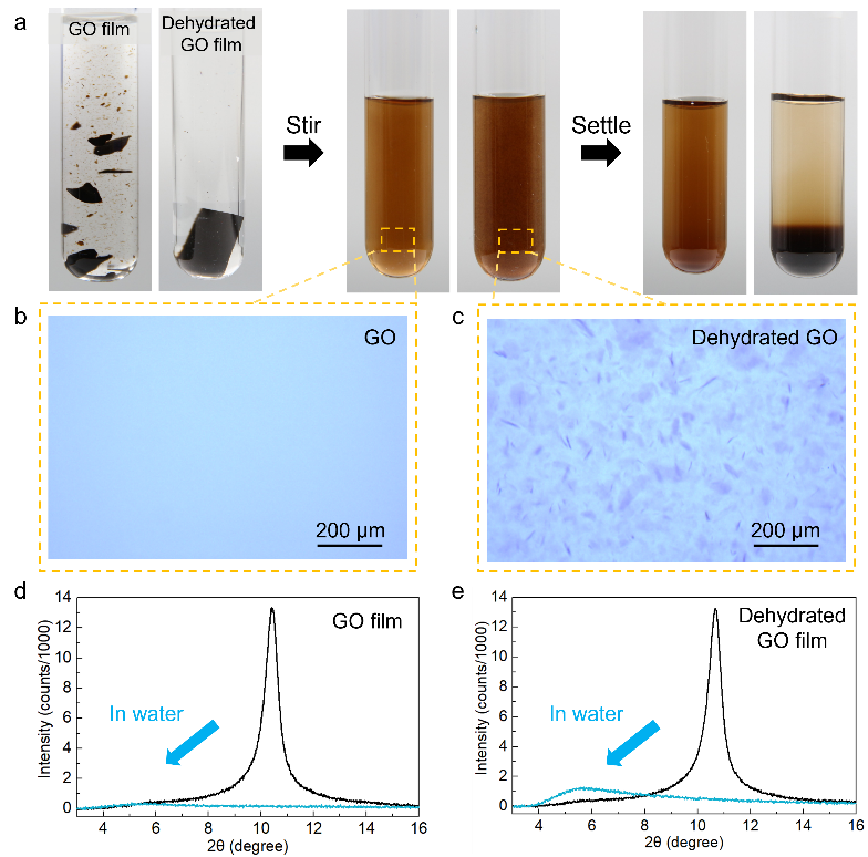 西湖大学揭示氧化石墨烯片层脱水自交联现象