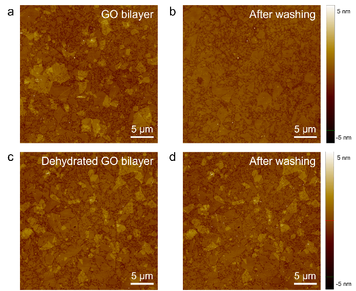 西湖大学揭示氧化石墨烯片层脱水自交联现象