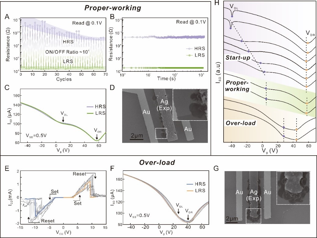 Small: 利用石墨烯原位监测银/氧化硅结构中的电阻开关过程