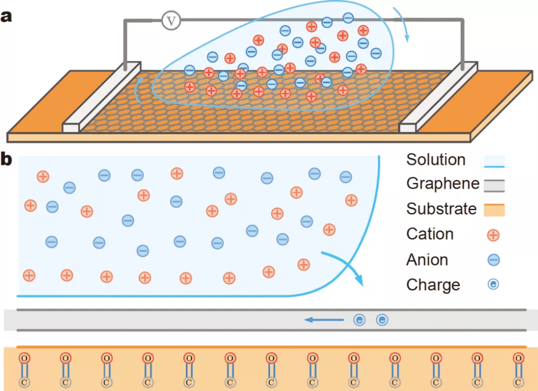 SCMs|郭万林院士团队：在石墨烯上拖动离子液滴发电的机理