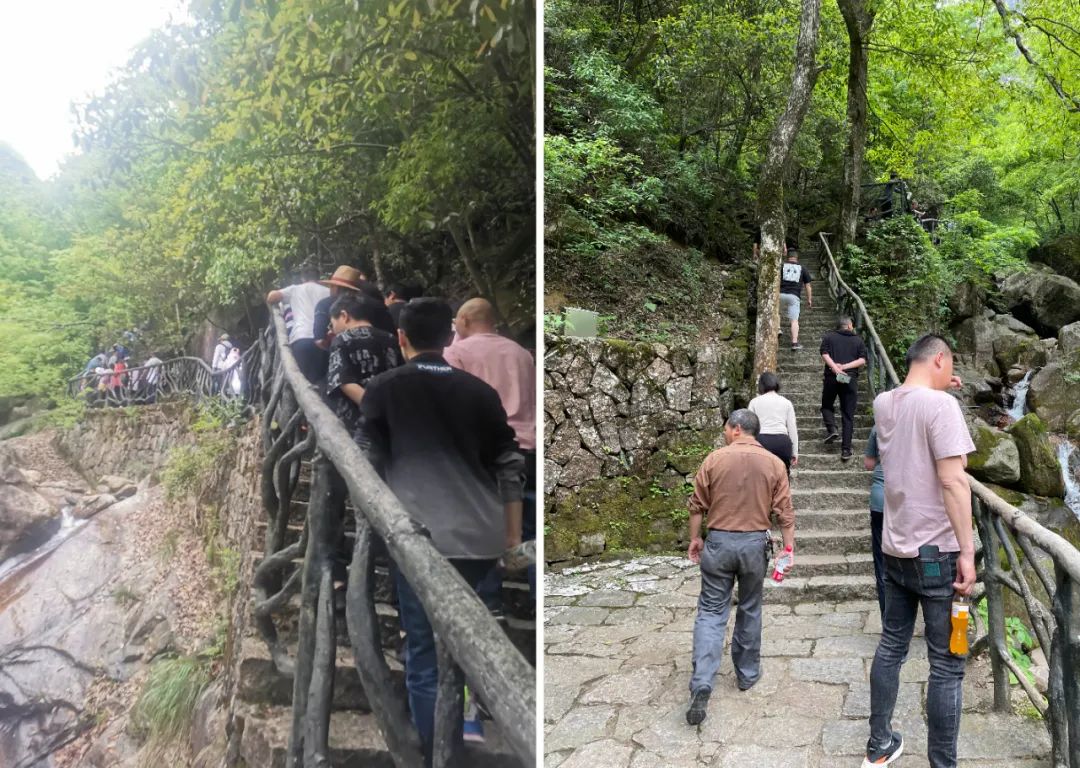 同一个团队，同一个梦想——第六元素团建活动圆满结束