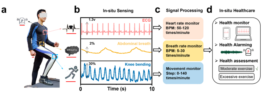 中国石墨烯器件领军人物又一力作，清华任天令团队研发石墨烯基织物，体征异常可发声提醒