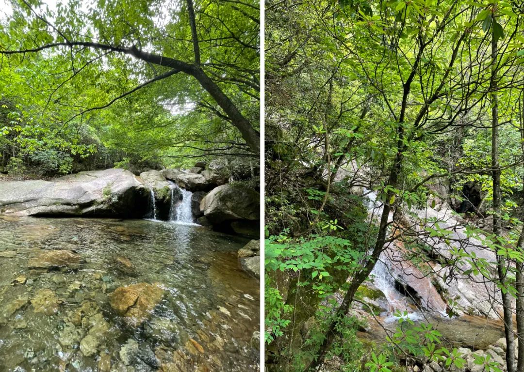 同一个团队，同一个梦想——第六元素团建活动圆满结束