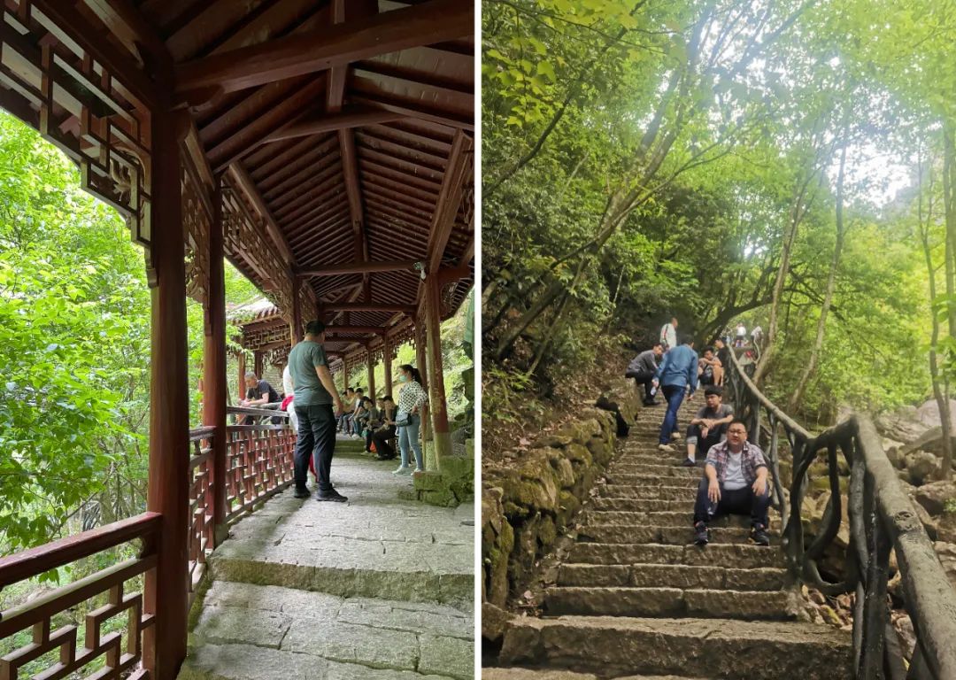 同一个团队，同一个梦想——第六元素团建活动圆满结束