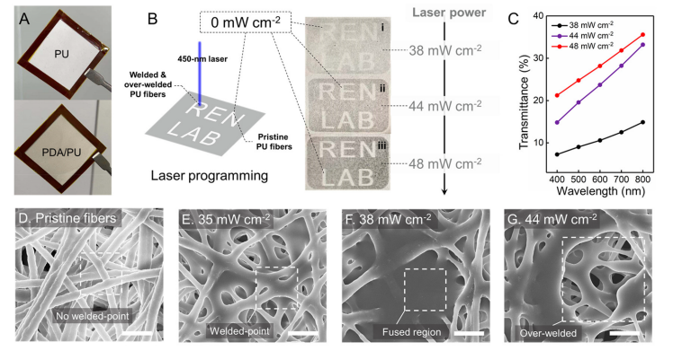 中国石墨烯领军人物任天令再出手：研发三明治型石墨烯传感器，拉伸应变范围可达100%