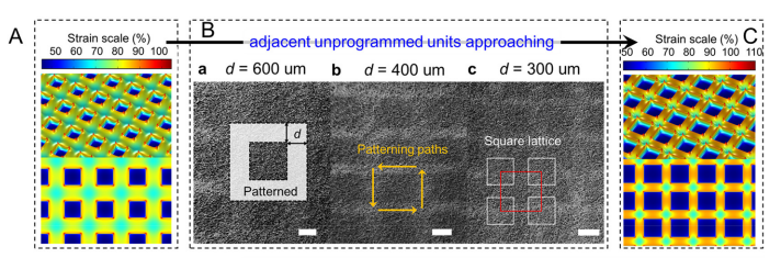 中国石墨烯领军人物任天令再出手：研发三明治型石墨烯传感器，拉伸应变范围可达100%