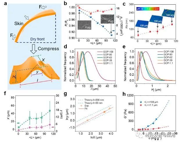 浙大许震：揭秘石墨烯宏观组装强度的“尺寸困境”起源