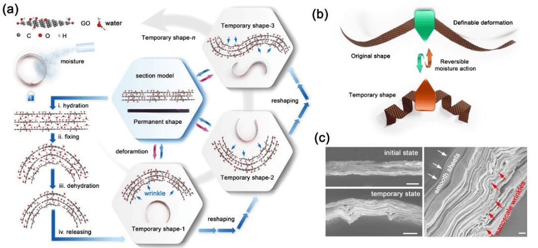 Nano Lett. | 形变可编程、动作可记忆的氧化石墨烯执行器