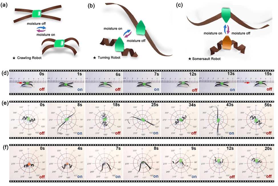 Nano Lett. | 形变可编程、动作可记忆的氧化石墨烯执行器