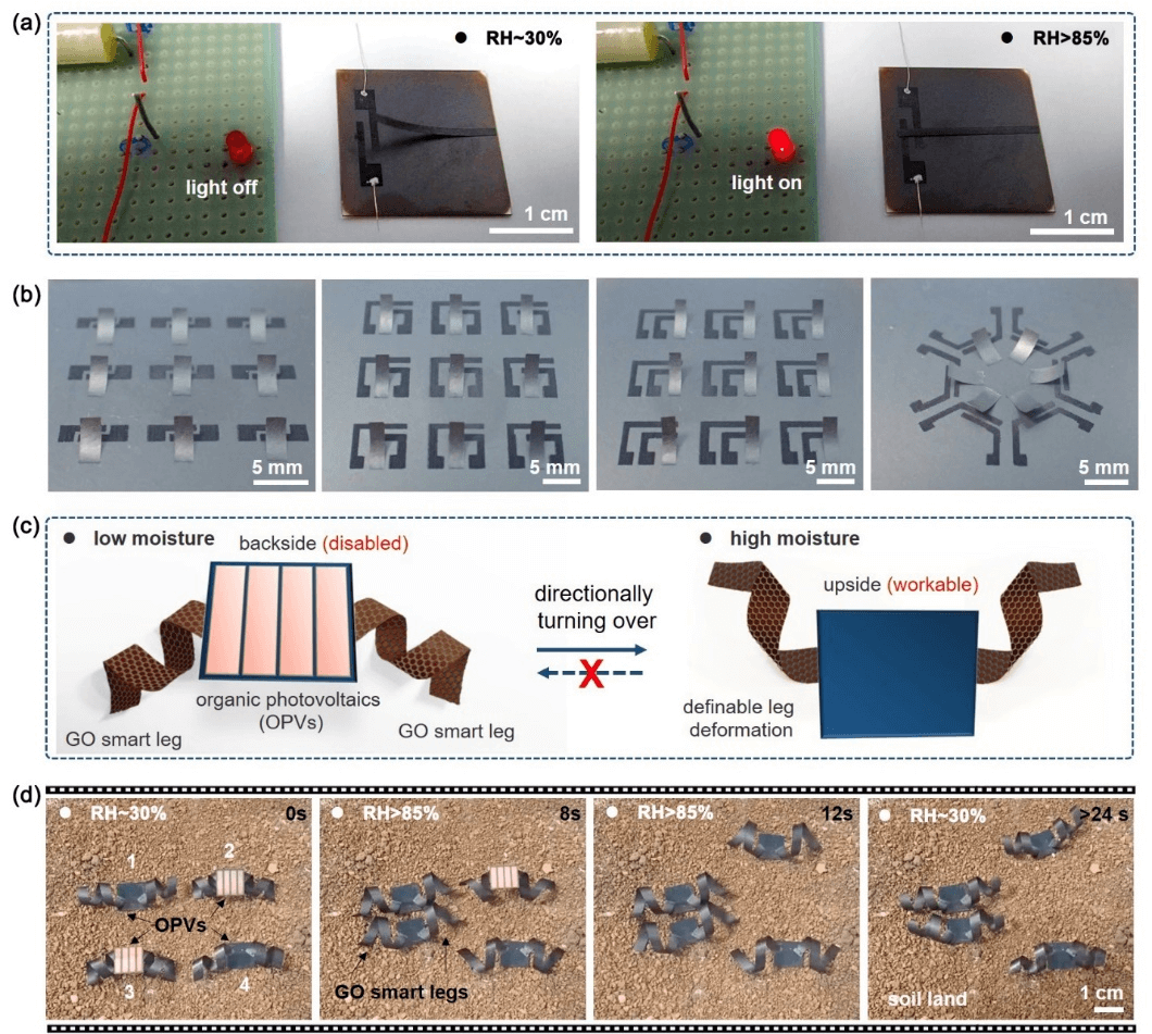 Nano Lett. | 形变可编程、动作可记忆的氧化石墨烯执行器