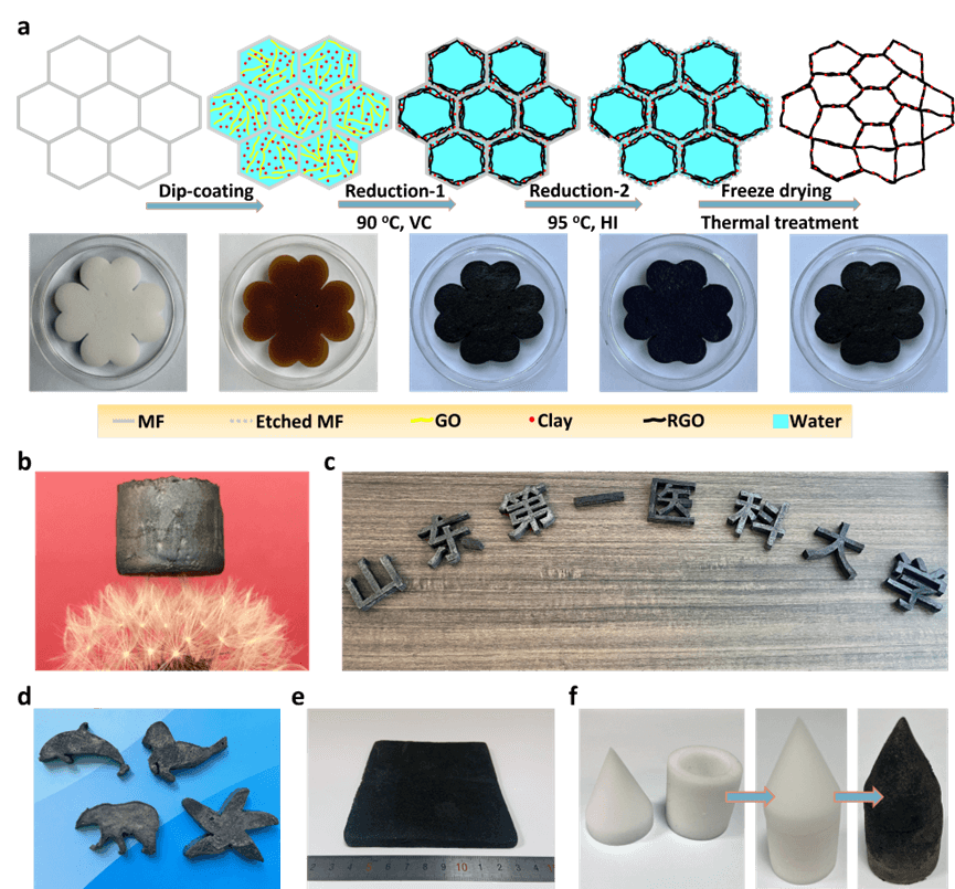 山东第一医科大学李晨蔚团队Adv.Sci.：超回弹、3D组装粘土/石墨烯气凝胶用于连续太阳能除盐和有机溶剂吸收