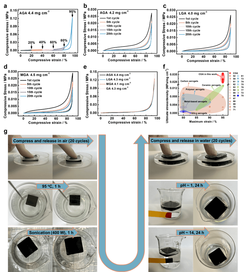 山东第一医科大学李晨蔚团队Adv.Sci.：超回弹、3D组装粘土/石墨烯气凝胶用于连续太阳能除盐和有机溶剂吸收