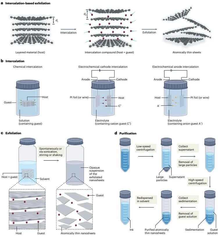 Nature Synthesis：详解二维材料的插层剥离制备技术