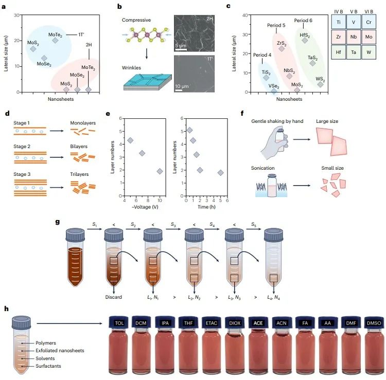Nature Synthesis：详解二维材料的插层剥离制备技术