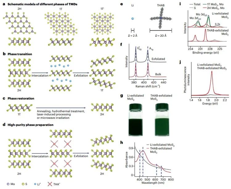 Nature Synthesis：详解二维材料的插层剥离制备技术