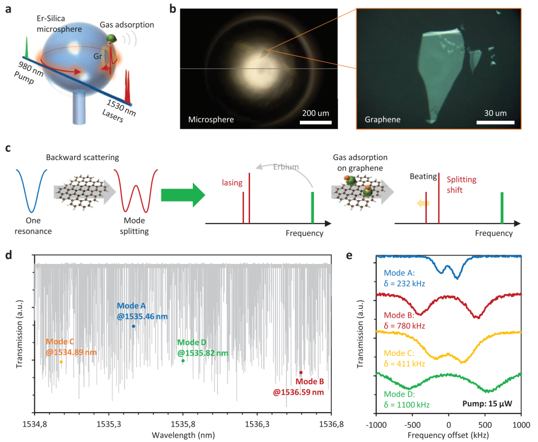 AM：用于多组分气体检测的单片石墨烯功能化微激光器