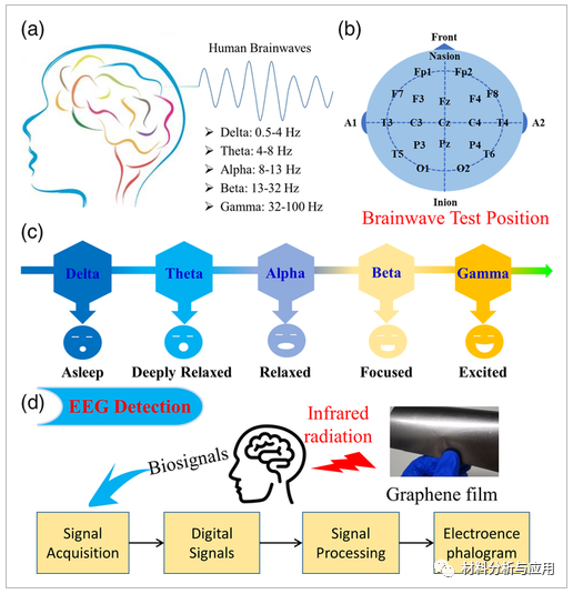 浙江大学《Small Science》：减少阿尔茨海默病！石墨烯电热膜的红外辐射触发α和θ脑电波