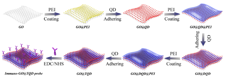 王升启课题组:基于氧化石墨烯负载多层量子点膜状标签的多重侧流免疫层析：一种快速和高灵敏检测多种呼吸道病毒的现场分析方法