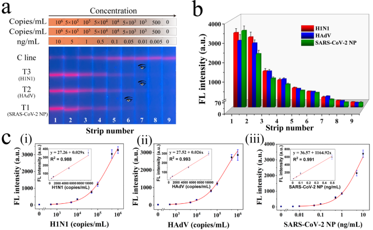 王升启课题组:基于氧化石墨烯负载多层量子点膜状标签的多重侧流免疫层析：一种快速和高灵敏检测多种呼吸道病毒的现场分析方法