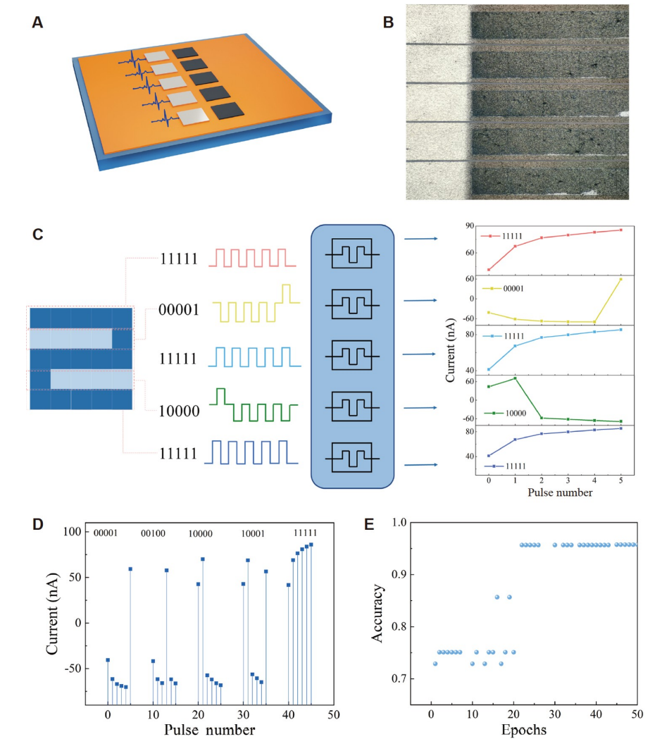 氧化石墨烯激光直写，制备超低功耗忆阻器，用于储层数字识别计算 | NSO
