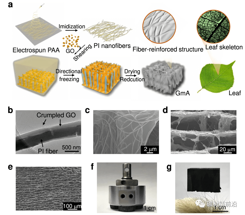 《自然·通讯》清华大学曲良体：超弹性石墨烯气凝胶
