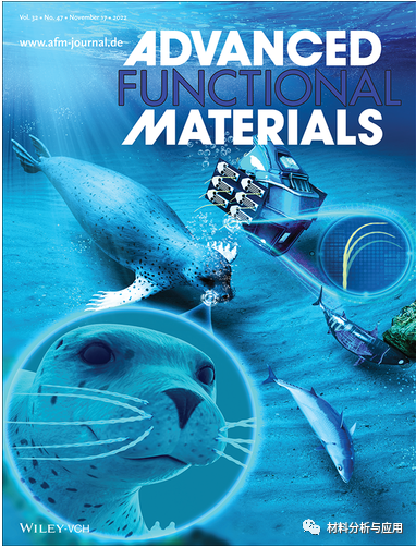 格罗宁根大学《AFM》封面：受海豹胡须启发的3D打印石墨烯传感器