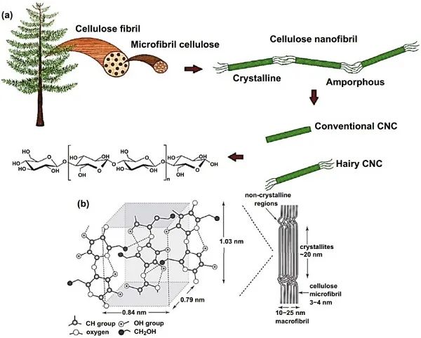 清华大学Nano-Micro Letters综述：纳米纤维素-石墨烯杂化材料在多功能传感上的应用