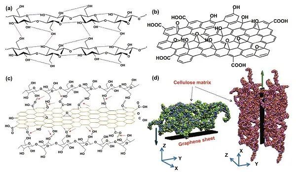 清华大学Nano-Micro Letters综述：纳米纤维素-石墨烯杂化材料在多功能传感上的应用