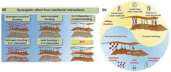 清华大学Nano-Micro Letters综述：纳米纤维素-石墨烯杂化材料在多功能传感上的应用