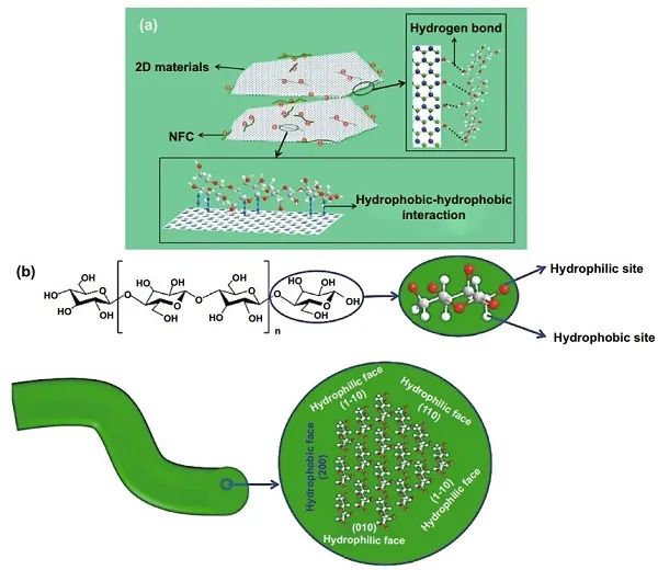 清华大学Nano-Micro Letters综述：纳米纤维素-石墨烯杂化材料在多功能传感上的应用