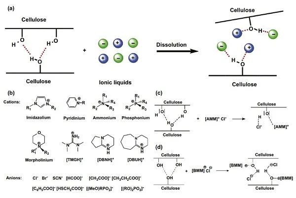 清华大学Nano-Micro Letters综述：纳米纤维素-石墨烯杂化材料在多功能传感上的应用