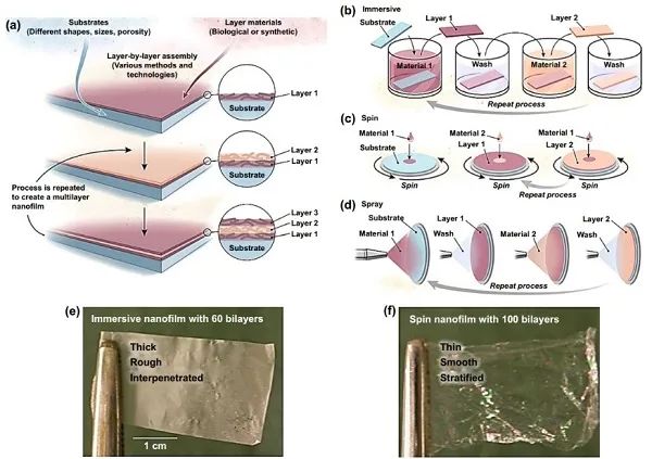 清华大学Nano-Micro Letters综述：纳米纤维素-石墨烯杂化材料在多功能传感上的应用