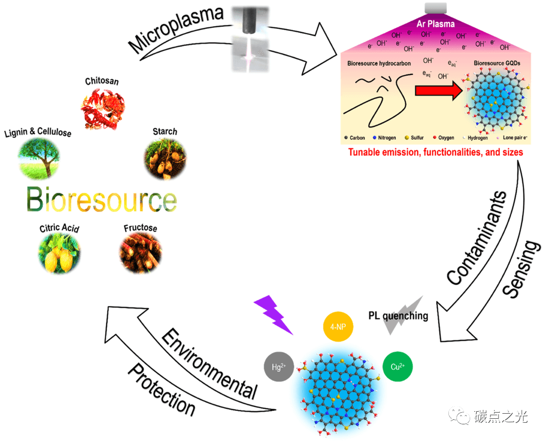 ACS Appl. Mater. Inter: 生物资源衍生的石墨烯量子点作为超灵敏环境纳米探针的等离子体纳米工程